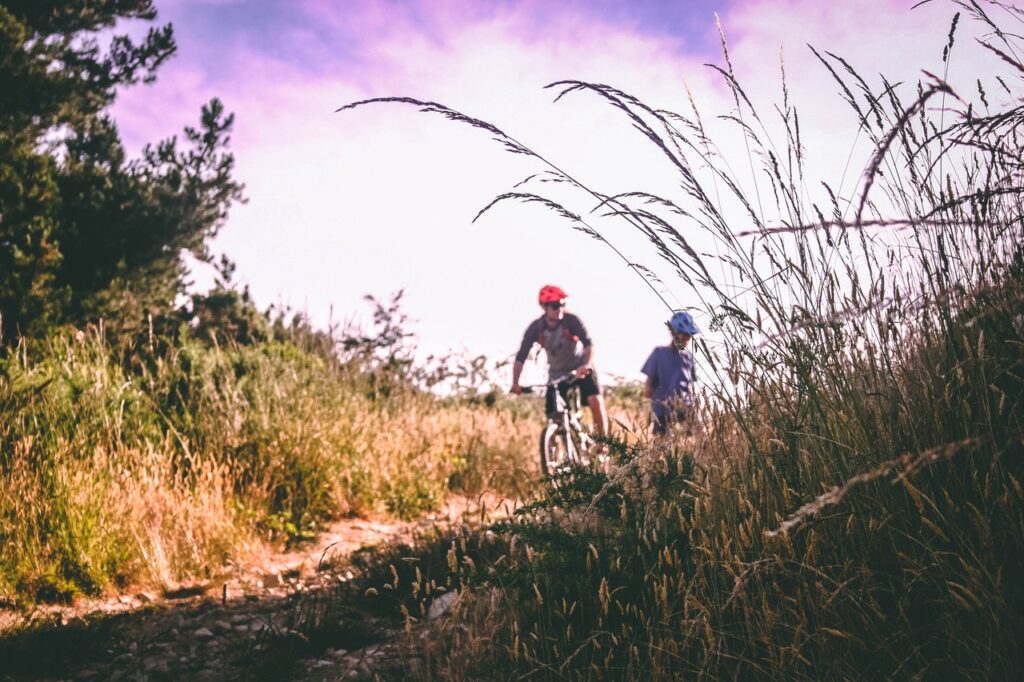 Fietsen natuur header uitgelichte afbeelding