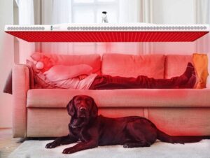 Rood licht therapie man op bank en hond