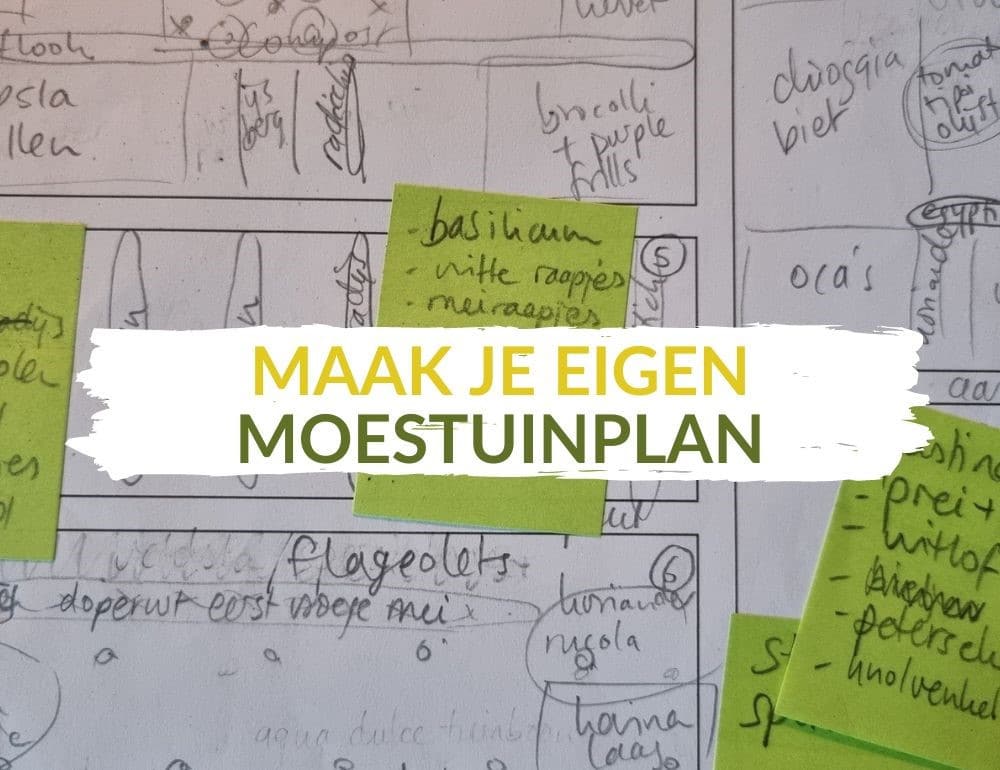 Moestuinplan