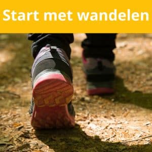 De Wandeltrainer