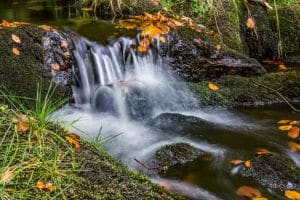 Duitsland Het Beierse Woud