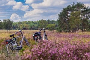 Fietsen in de natuur