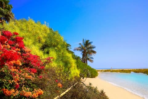 Fuerteventura